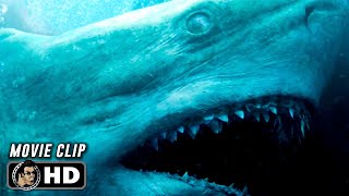 THE MEG Clip - 