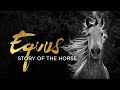 Equus  story of the horse  origins