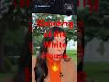 Live Broadcast Cut After Gunfire Near White House #foryou #news #usa #explore #trump #america #new
