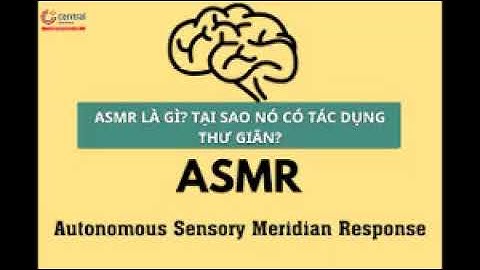 Asmr là viết tắt của từ gì năm 2024