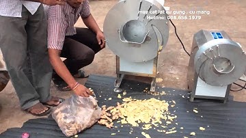 máy cắt lát củ gừng tự động FC501, máy cắt gừng làm mứt , máy thái lát củ gừng tự động