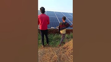 solar modules cleaning work#shortvideos#videoshort