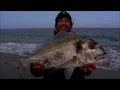 RAUL MARIO SURFCASTING TOKARA PESCA DORADA GIGANTE