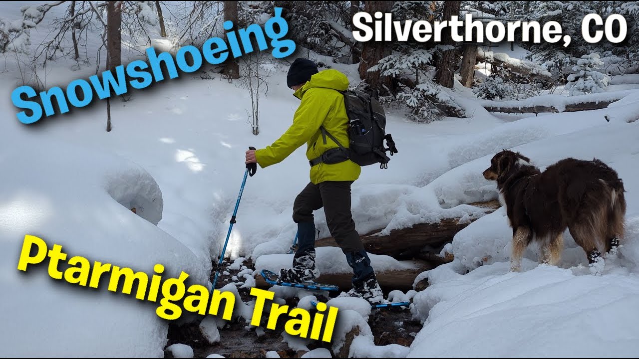 Snowshoeing Ptarmigan Trail | 8-Mile Winter Loop in Silverthorne, Colorado