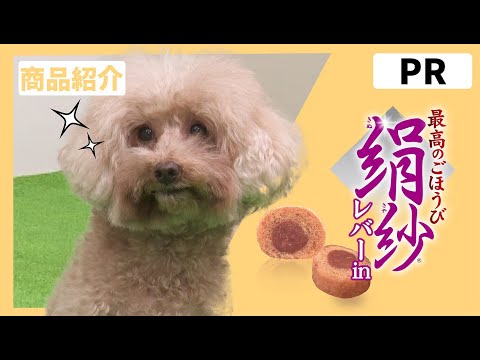 PR商品紹介 ドギーマン 絹紗レバーin 