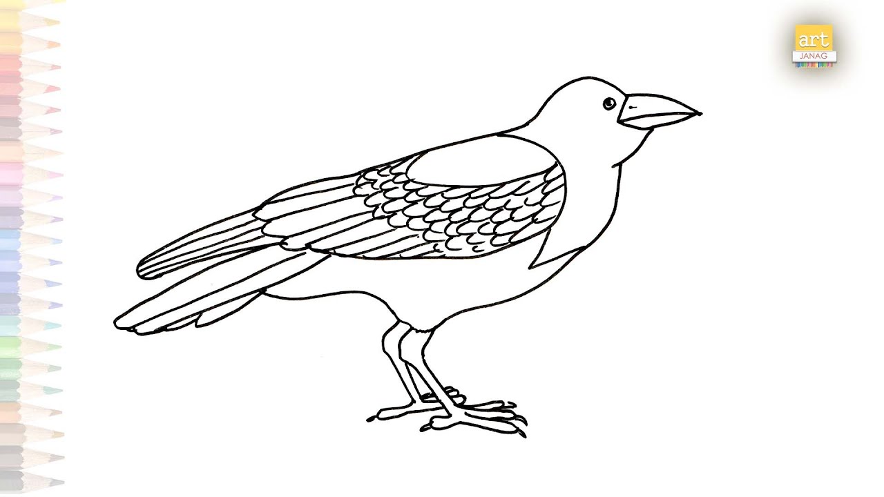 Crows Logo Drawing Tutorial Crow outline sketches | How to draw A Crow step by step | Crow drawing ...