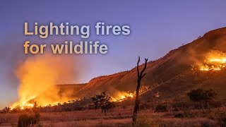 Lighting fires for wildlife in the Kimberley