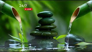 🌧️Bam Boo Sound Soft to Sleep Well in 5 Minute | Relaxing Sounds for Sleep, Insomnia, Study screenshot 1