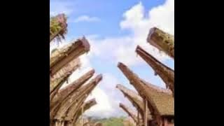 Lagu Daerah Toraja,  Marenden Marampa'