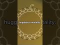 Huggbees mentality