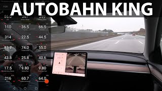 Tesla Model Y LR hammering at 217 km/h, 135 mph