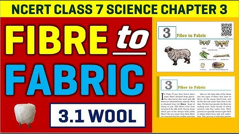 Fibre to Fabric - CBSE Class 7 Science Chapter 3 - Lesson 1 -  FREE ONLINE CLASSES ENGLISH