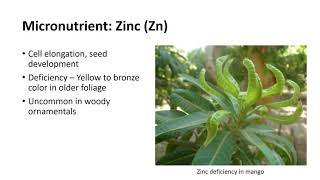 Soil and Nutrient Management for Field-Grown Plants screenshot 2