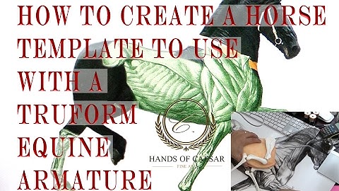 How to create a horse template to use with a truform equine armature