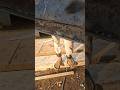 how to repair a broken metel like a pro welder.#weld #fullywelded #spotwelding #stickwelding