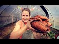 I Grew Sweet Potatoes in the North! | Autumn High Tunnel Clean-up