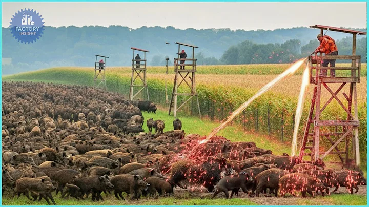 Wild Boar War 💥 Texas Farmers Join #HogHunters to Take Down Hundreds in Massive Hunt!