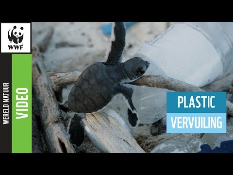Video: Stuur Stiv Wilson Om Plastic Vervuiling In De Atlantische Oceaan Te Verkennen - Matador Network