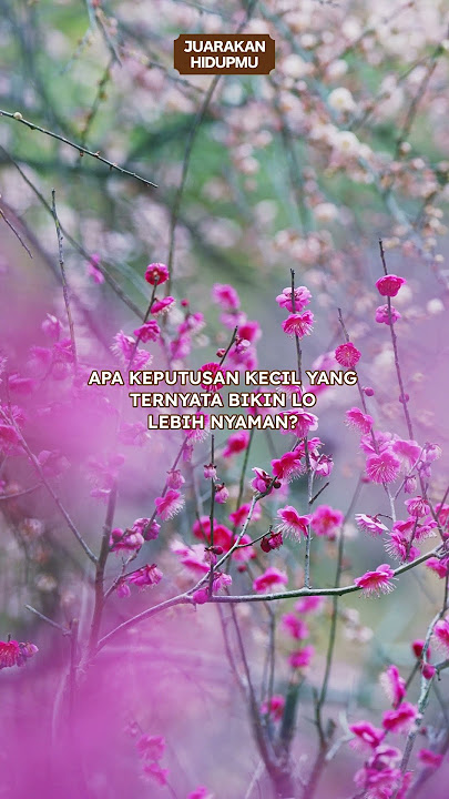 TANYA JUARA - KEPUTUSAN KECIL