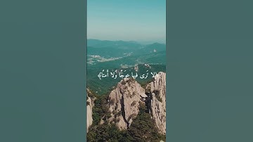 آيات من الذكر الحكيم ♥️