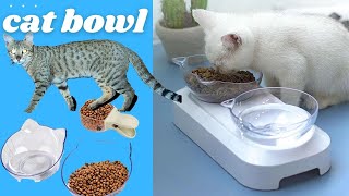 Awesome cat bowl |?|? trending cat bowl | it is awesome cat knocks over bowl |