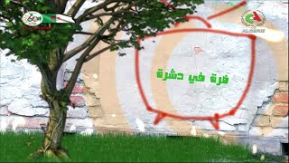 17.04.2023 | ضرة في دشرة