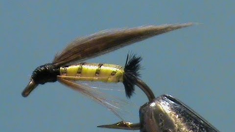 Fly Tying the Imbrie a Classic Wet Fly with Jim Misiura