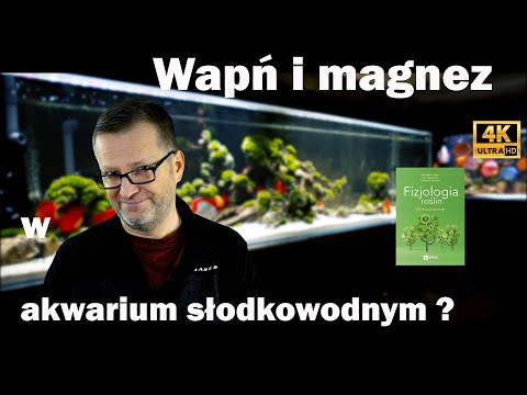 Video: Watter Akwarium Om Te Koop: Vars Of Marien