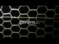 Introduction: Garden