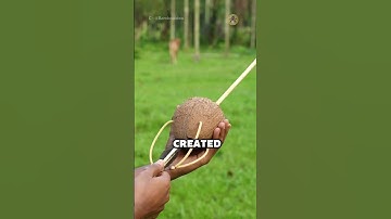 Proof You Don’t Need Technology to Create Something Amazing! 🔥(@Bambooidea )