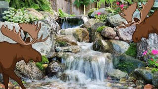 Small Backyard Waterfall  Huge Impact