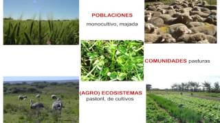 Curso Ecología, Agricultura y Ambiente 3 de 3