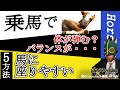 【大事】乗馬中に馬の反動を上手に吸収する方法とは！？