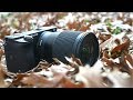 Sigma 16mm F1.4: The Best Lens I've Tested All Year