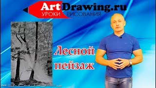 лесной пейзаж карандашом лесной пейзаж карандашом