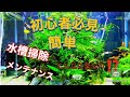 【アクアリウム】初心者でも簡単！水槽掃除、メンテナンス！【kazu AQUAch】