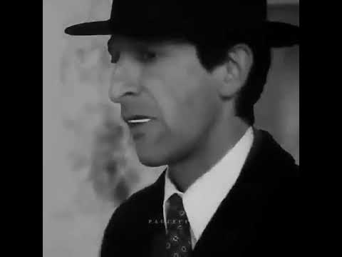 كاريزما ادريان برودي تشانغريتا