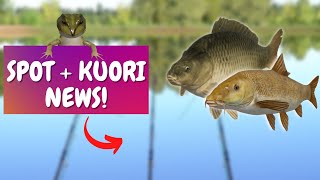 Carp & barbel spot in amber lake! + Kuori lake news! #325 Russian fishing 4