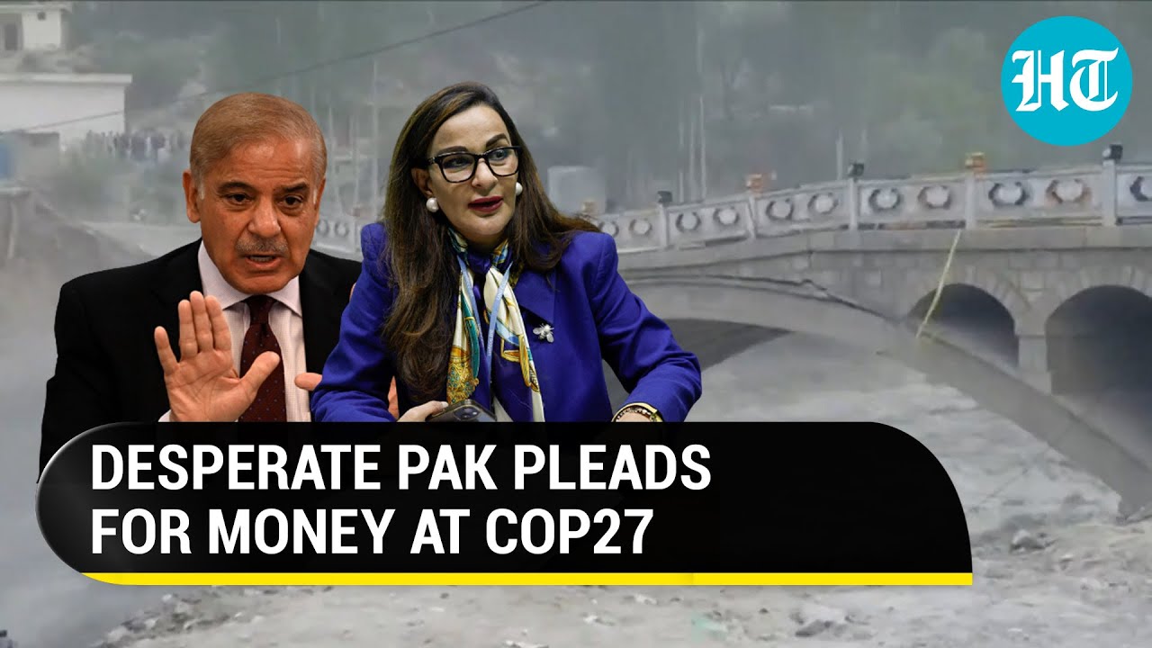 'We need cash...': Pak openly begs for money at COP27; 'Won't be satisfied unles
