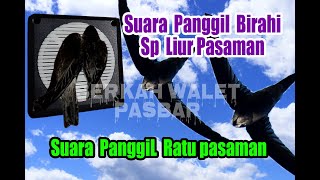 Download lagu SUARA PANGGIL RATU WALET PASAMAN ORIGINAL SP BIRAH... mp3
