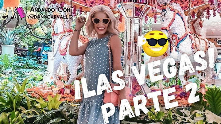 Celebré mi CUMPLEAÑOS en LAS VEGAS 🥳 🎂