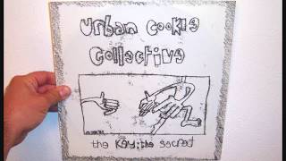 Urban Cookie Collective - The key the secret (1993 Regressive mix) Resimi