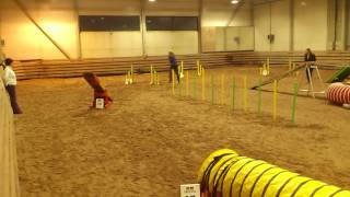20131116 Crispin 3
