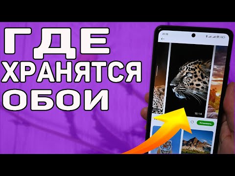 Видео: Где хранятся обои для Android?