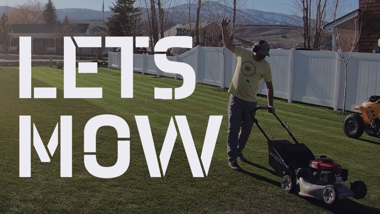 Давайте косить газон 2020