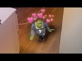 Shrek goes on a date