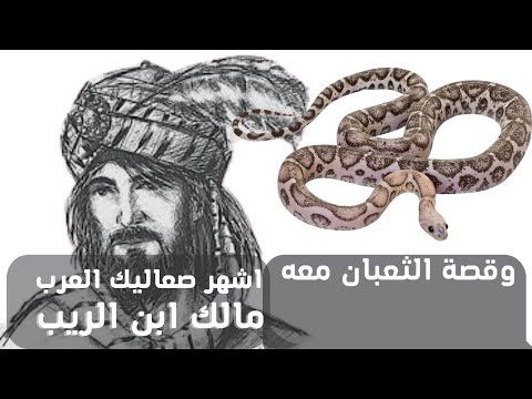 اشهر صعاليك العرب مالك ابن الريب ورثائه لنفسه قبل وفاته 