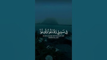 سورة ال عمران ماهر المعيقلي فاستجاب لهم ربهم #quran #قران_كريم