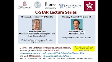 "Plasticity and short-term reorganization in the language network", Gesa Hartwigsen