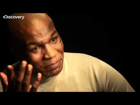 shocking definition Why Tyson Loves Pigeons